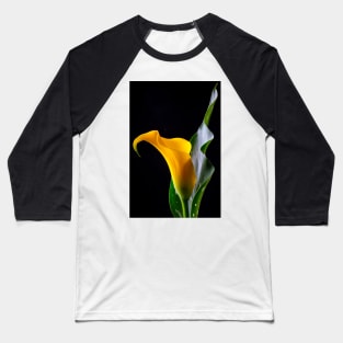 Yellow Calla Lily With Leaf Baseball T-Shirt